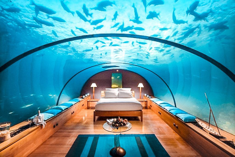 phòng ngủ đẹp nhất thế giới dưới lòng đại dương