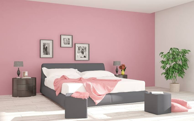 sơn phòng ngủ màu hồng tím